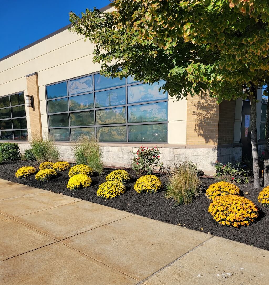 487388631_1157822799596263_2768588609886105774_n