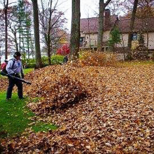 Fall Leave Cleanup by Spayd's
