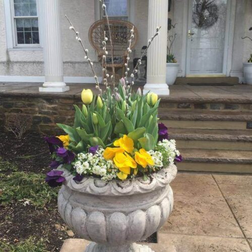 Container planting decoration by Spayd's