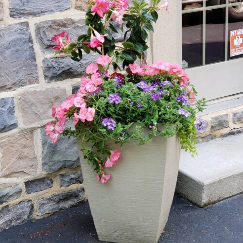 Container planting decoration by Spayd's