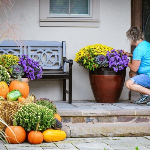 Container planting decoration by Spayd's