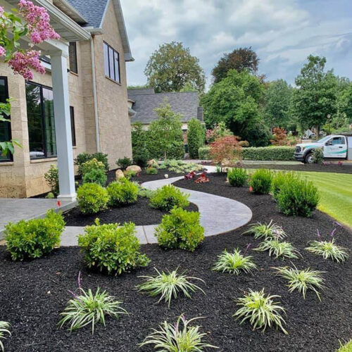 Landscape planting by Spayd's
