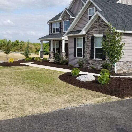 Landscape planting by Spayd's