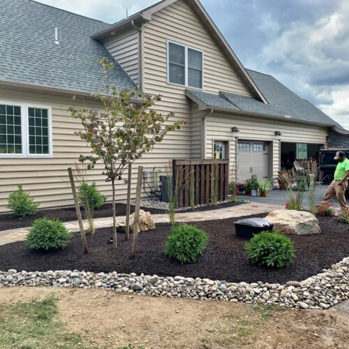 Landscape planting by Spayd's