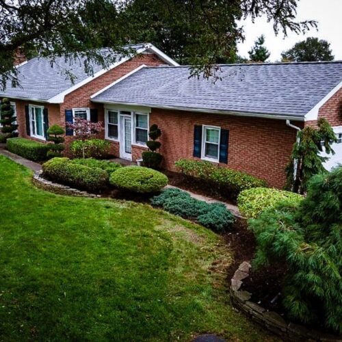 Landscape planting by Spayd's