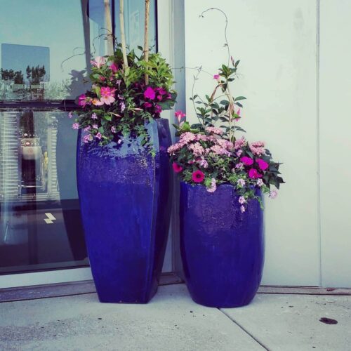 Container planting decoration by Spayd's