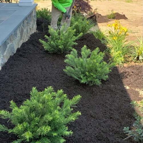 Landscape planting by Spayd's