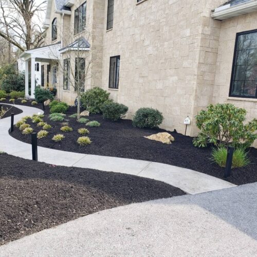 Landscape planting by Spayd's