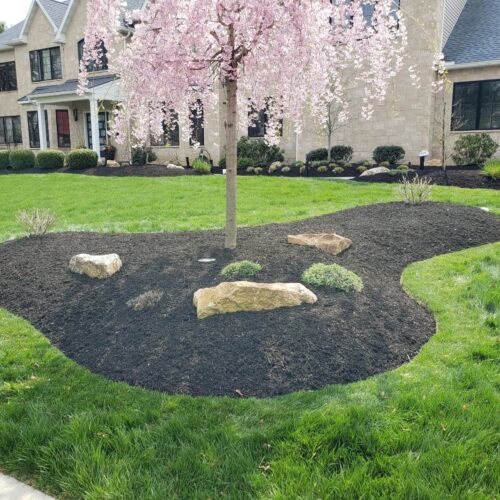 Landscape planting by Spayd's