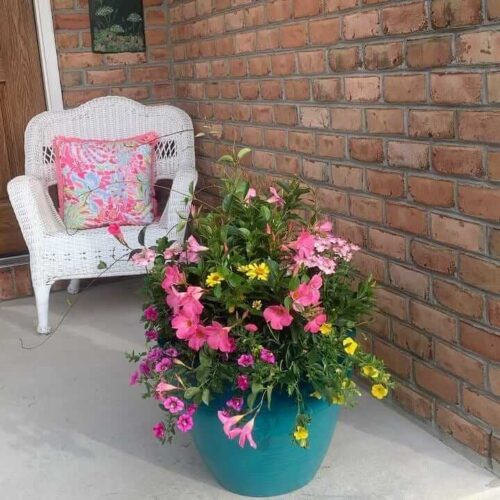 Container planting decoration by Spayd's