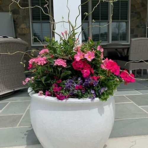 Container planting decoration by Spayd's