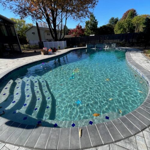 Custom in-ground Pool by Spayd's